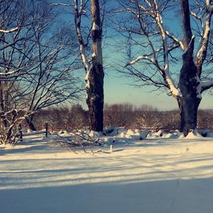 Meet your Posher, Addison